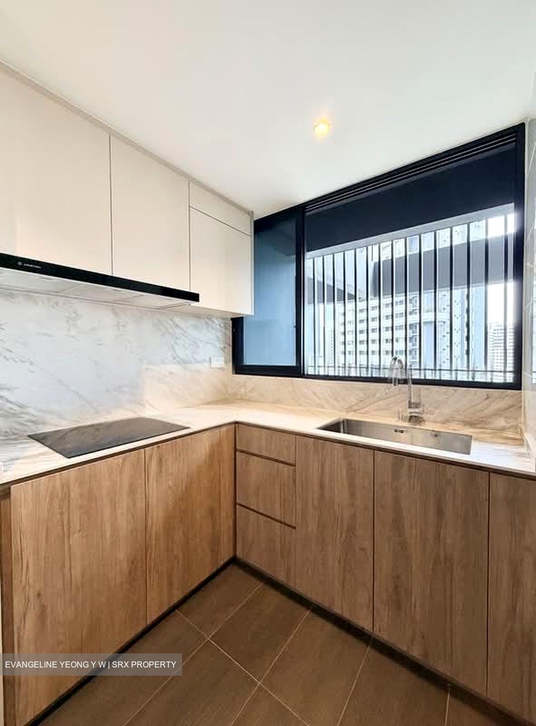 Spottiswoode Residences (D2), Condominium #541937091